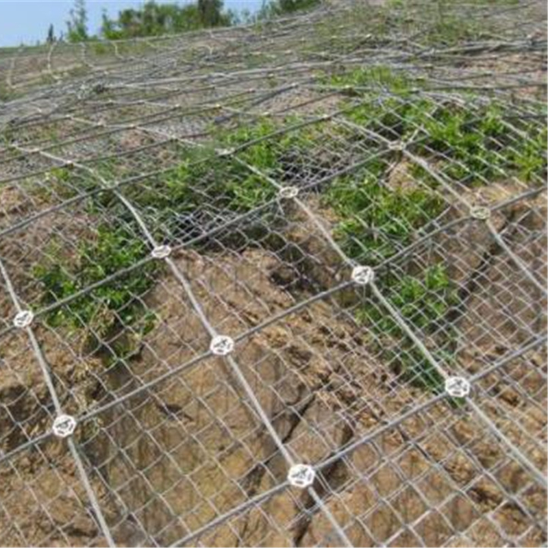 stainless-steel-wire-rope-mesh-net-for-slope-protection from China